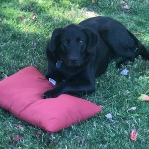 Meet your Posher, Brad